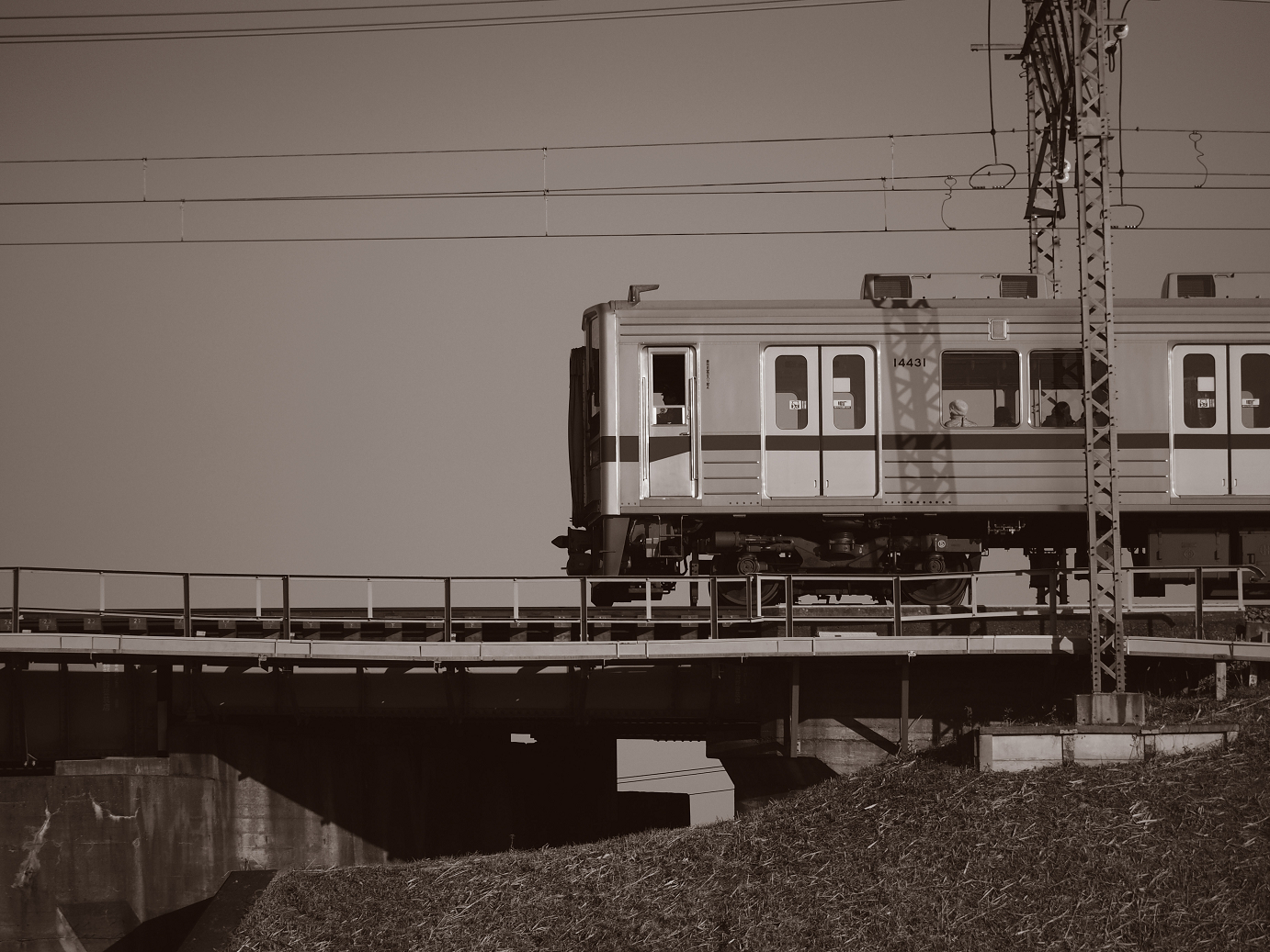 P1020150.jpg