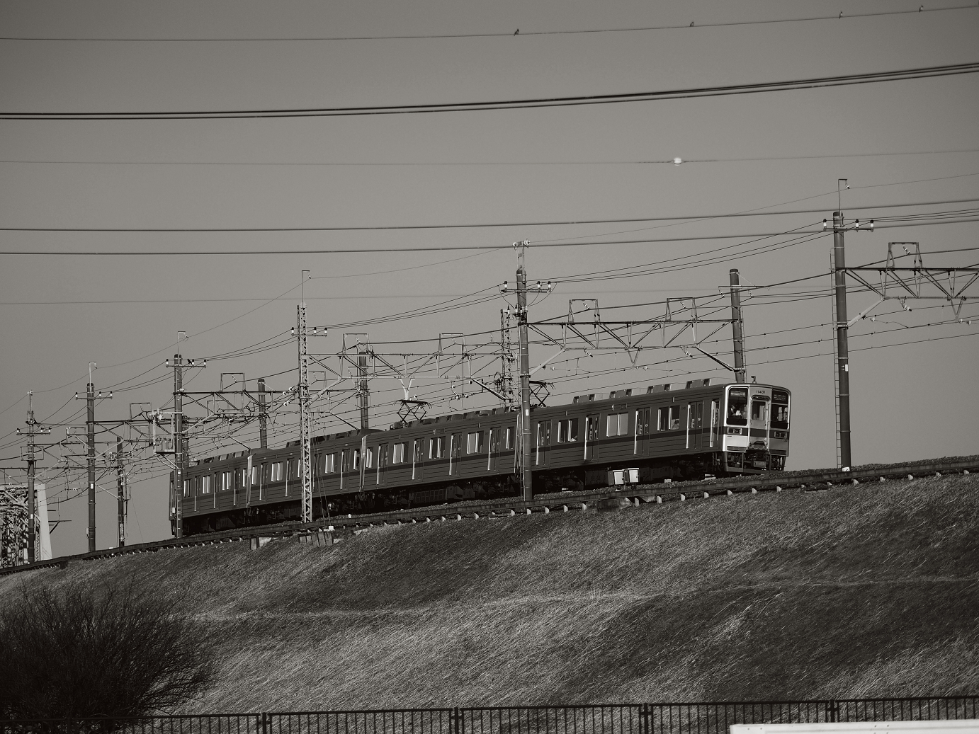 P1020163.jpg