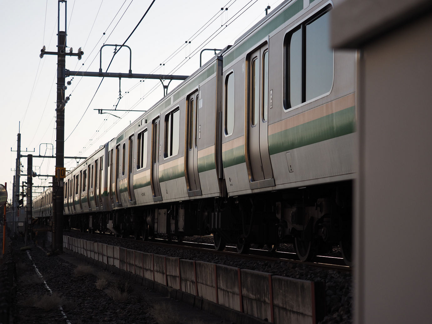P1020189.jpg