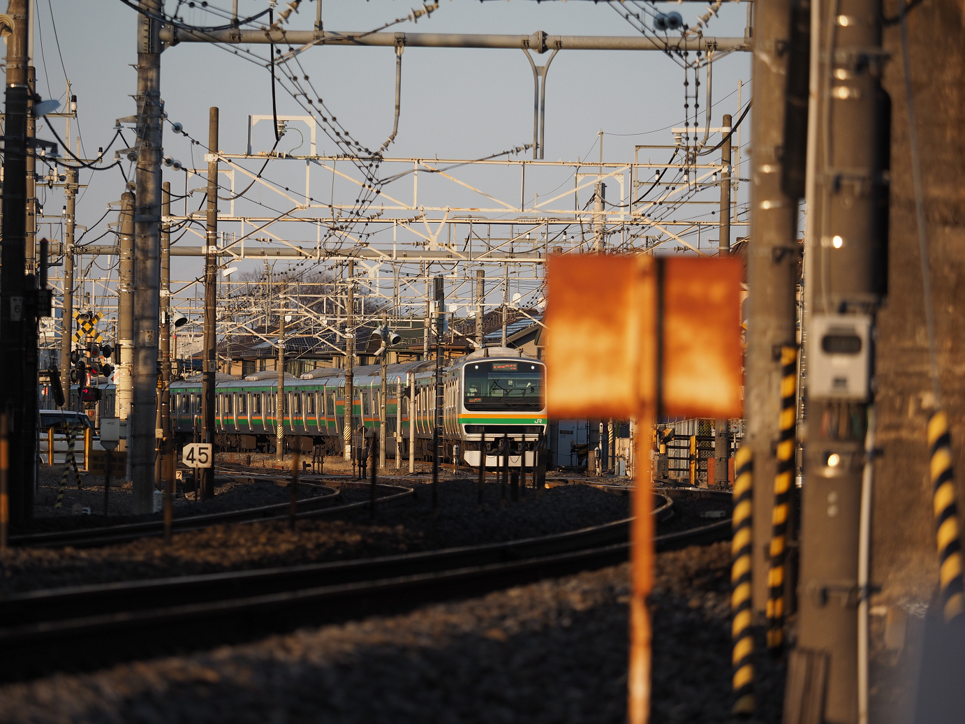 P1020414.jpg