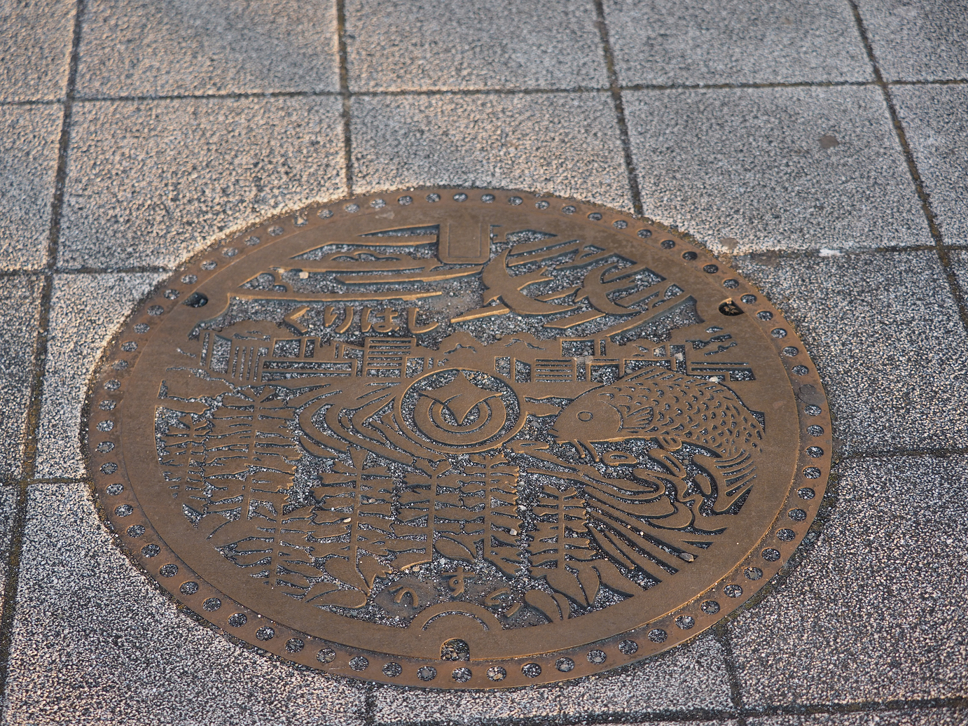 P1020431.jpg