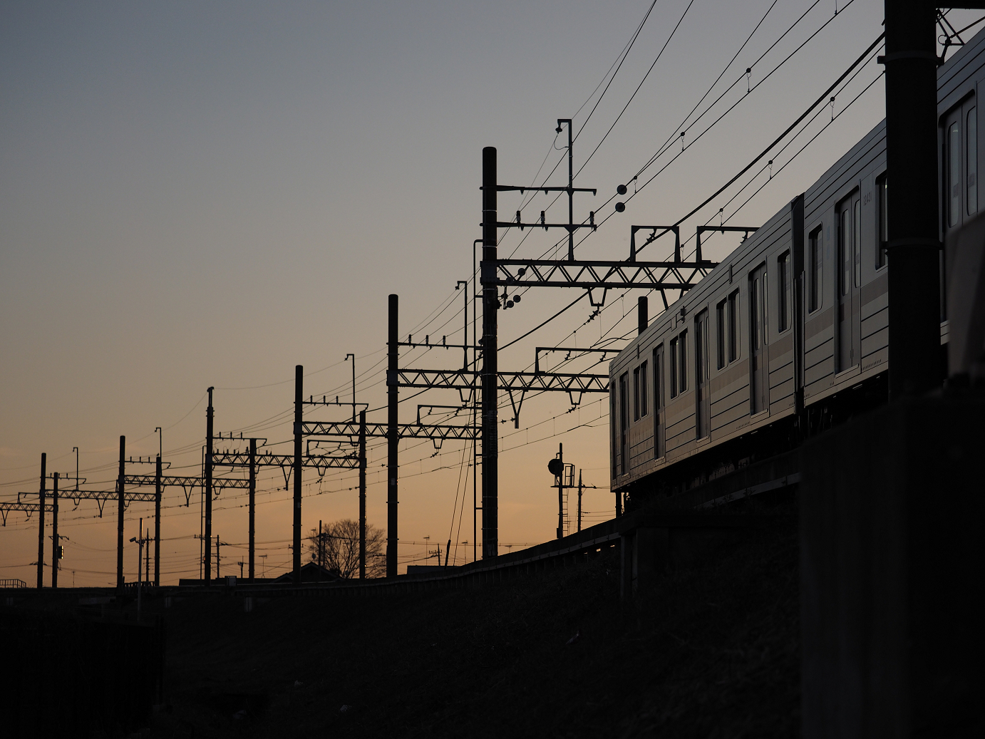 P1020434.jpg