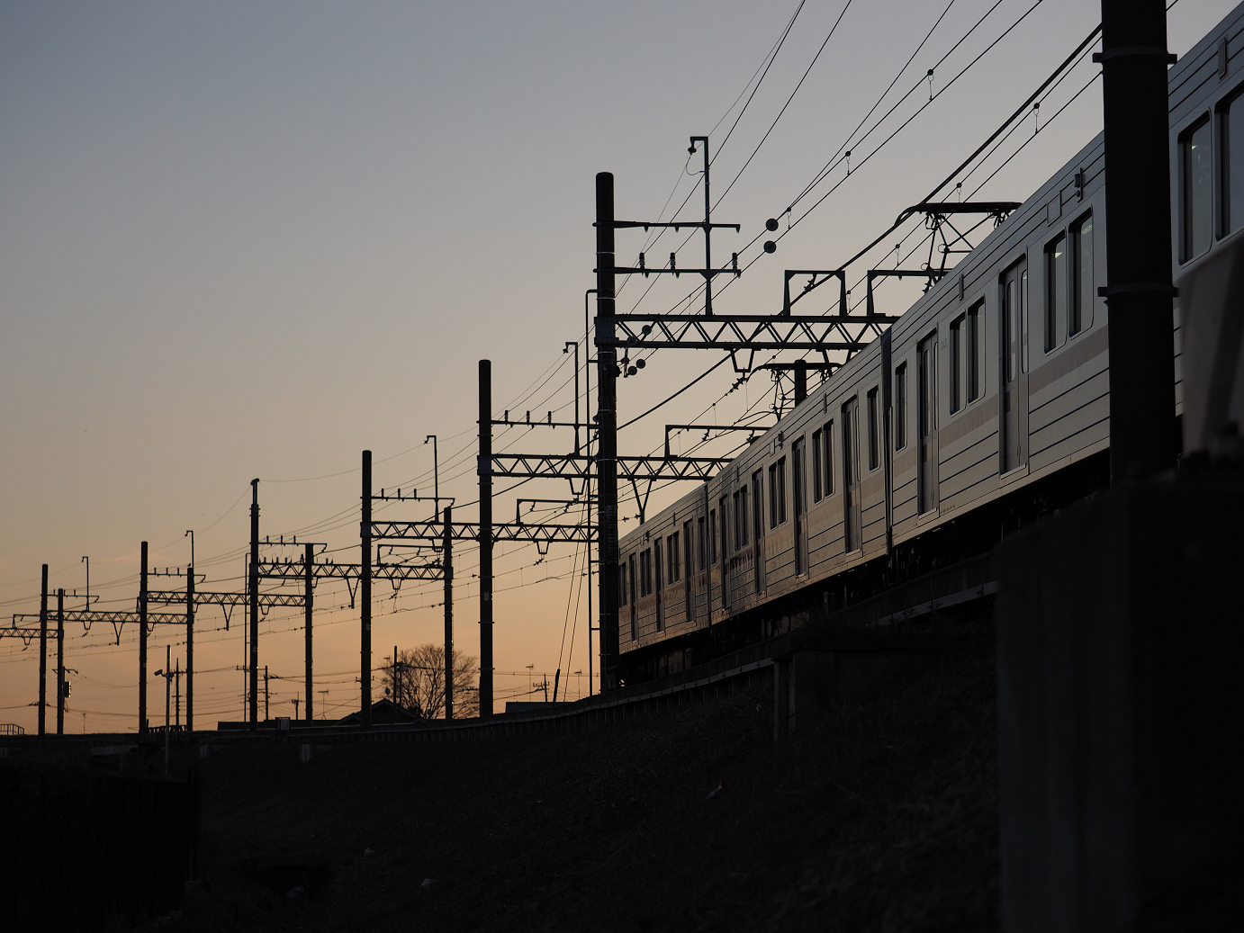 P1020437.jpg