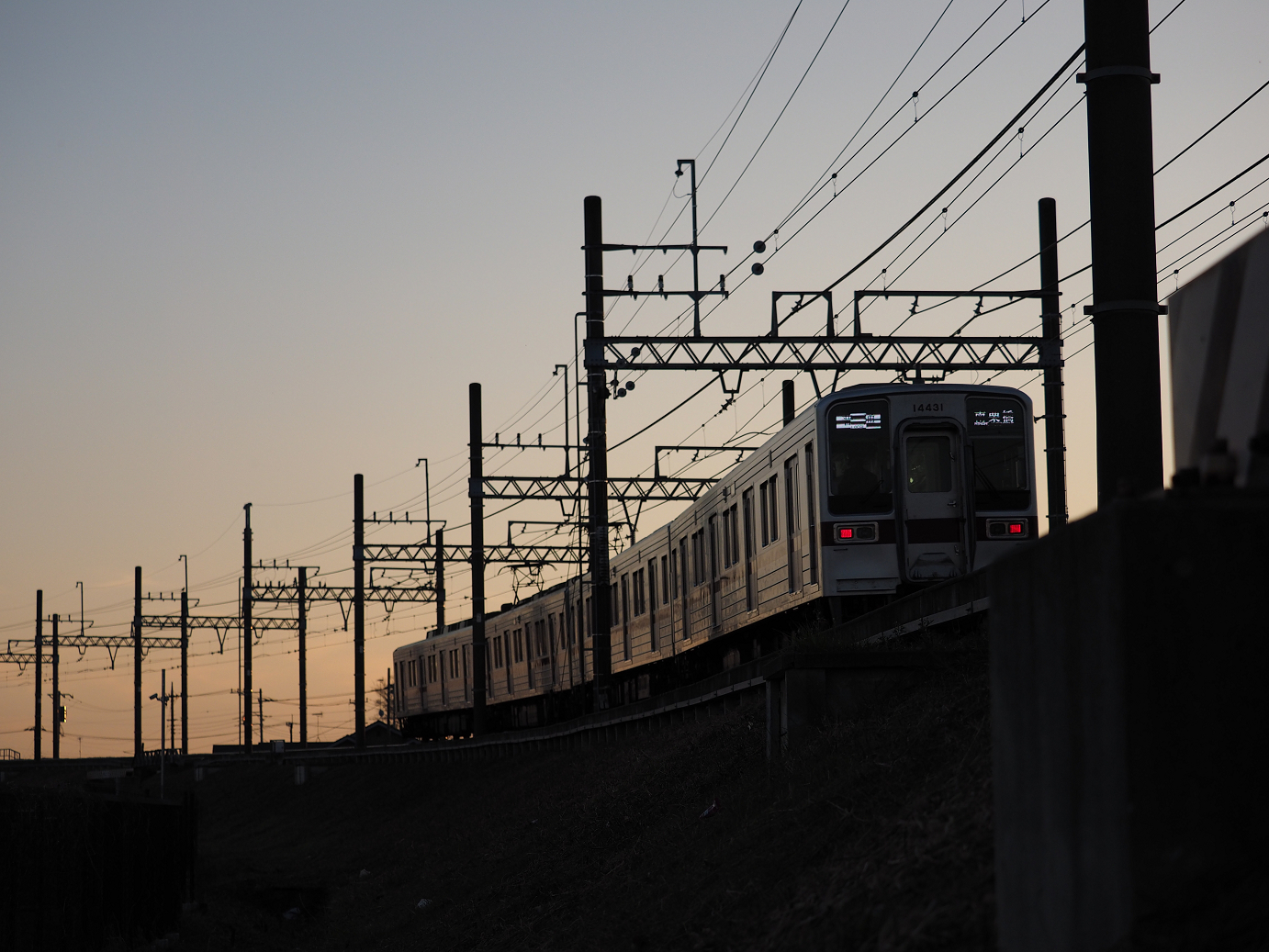P1020441.jpg