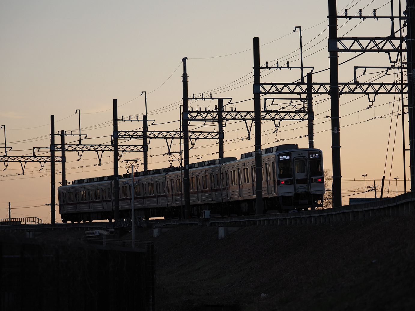 P1020452.jpg