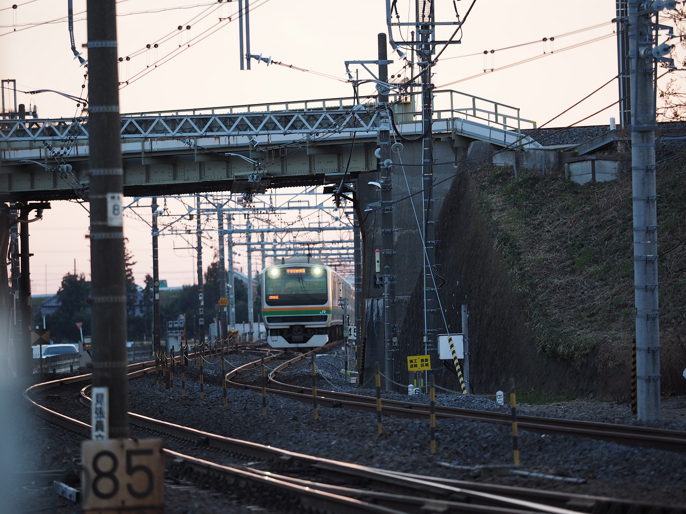 P1020554.jpg