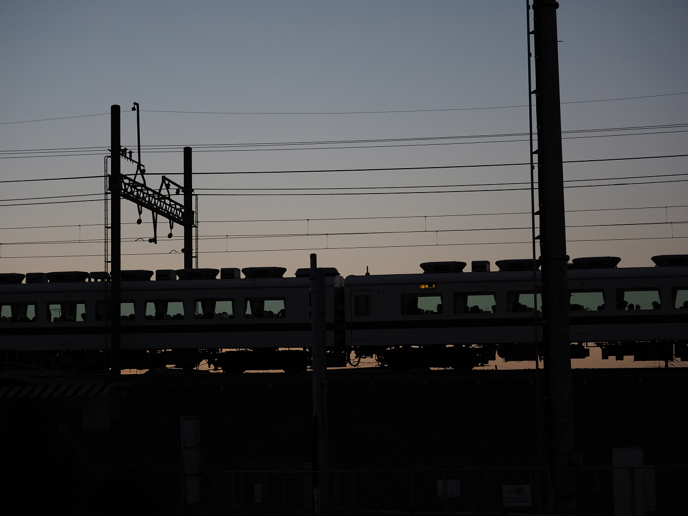 P1020618.jpg
