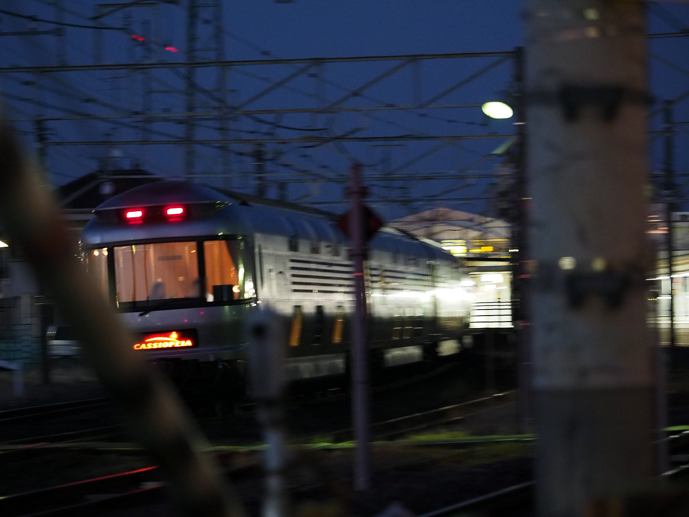 P1020789.jpg