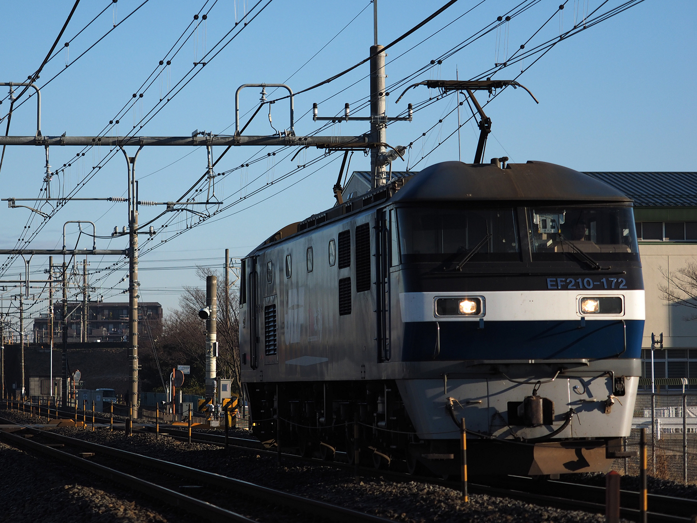 P1090073.jpg