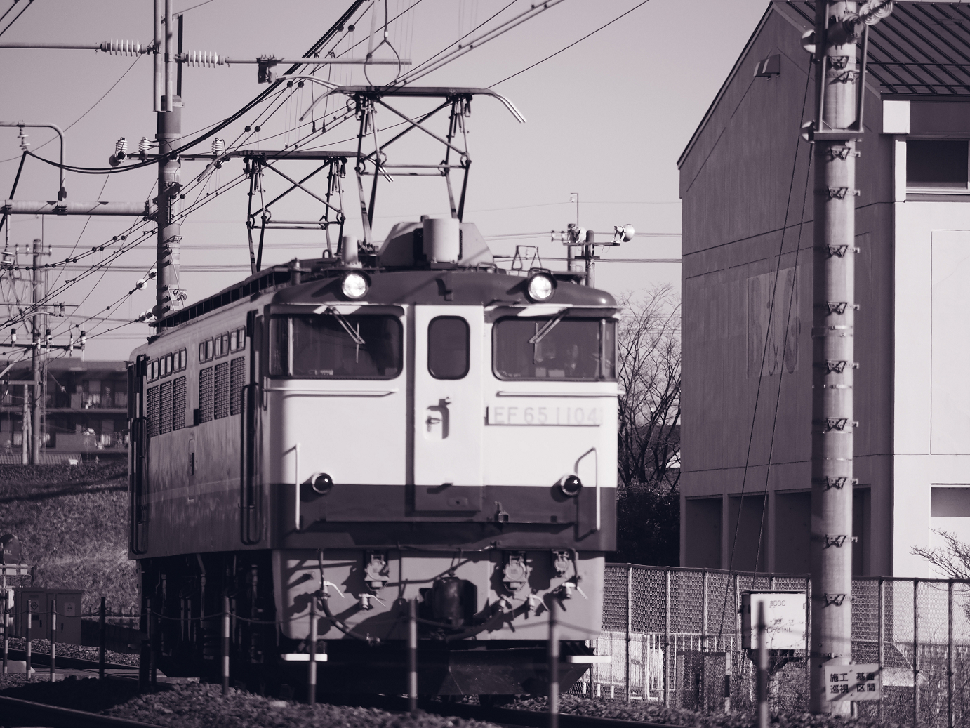 P1090227.jpg