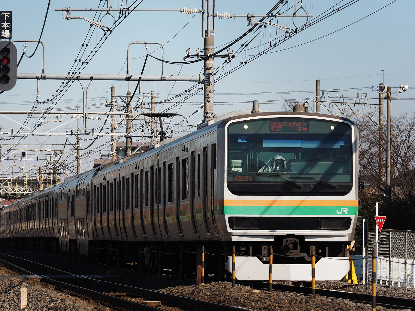 P1090256.jpg