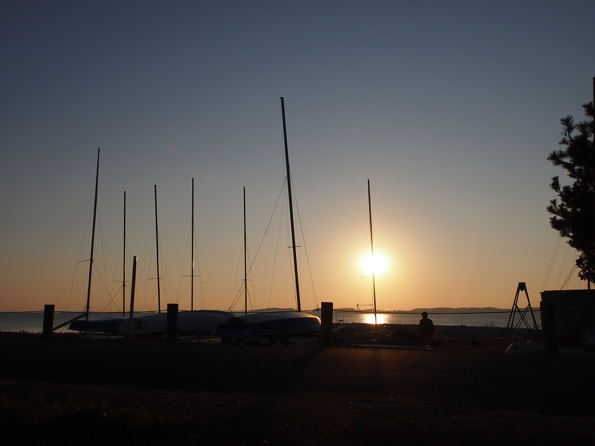 P1164608.jpg