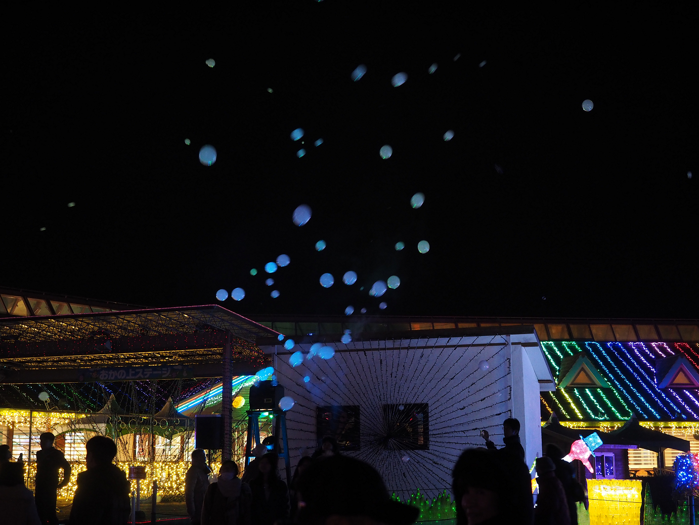 P1151023.jpg