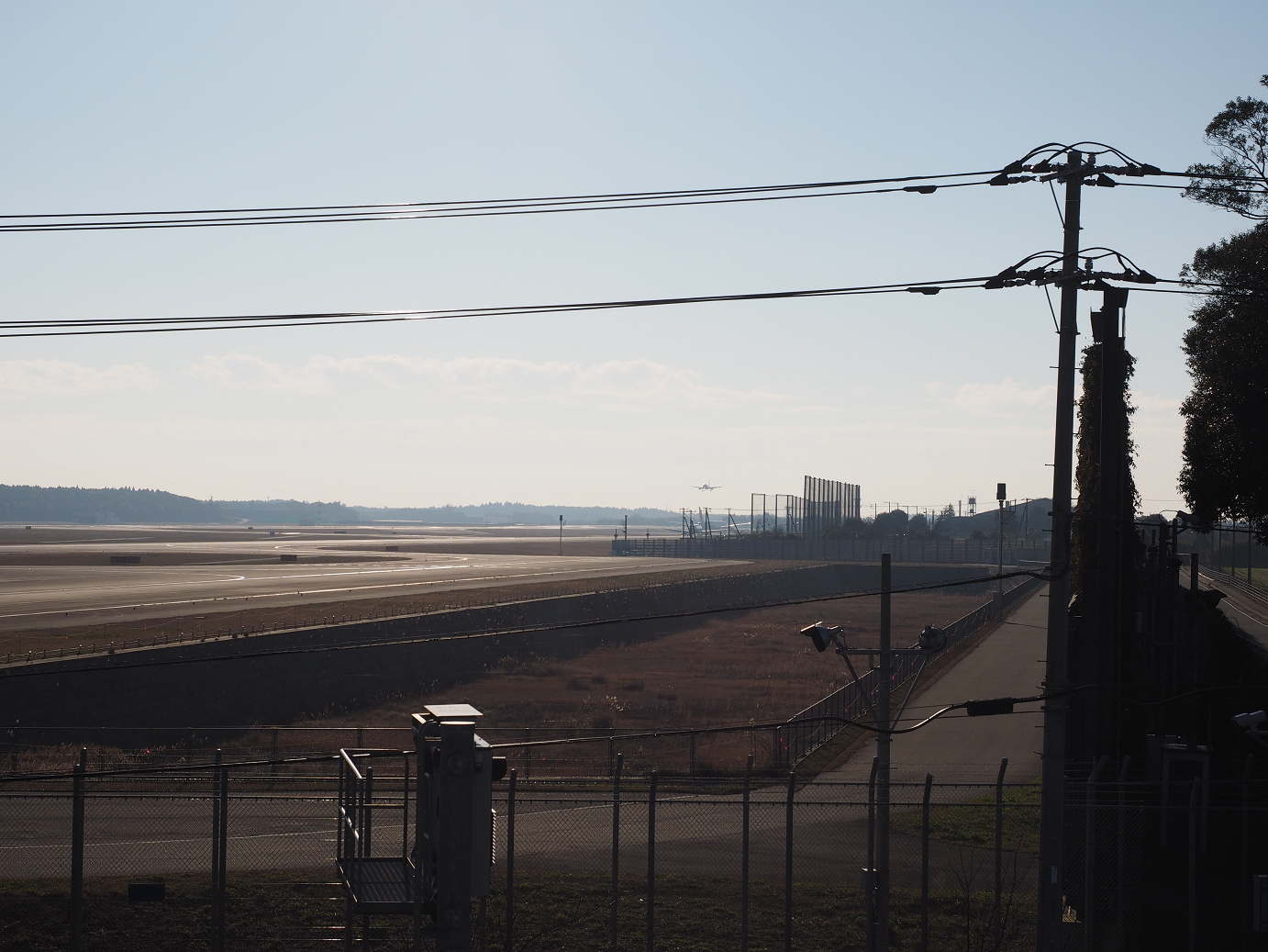 P1161132.jpg