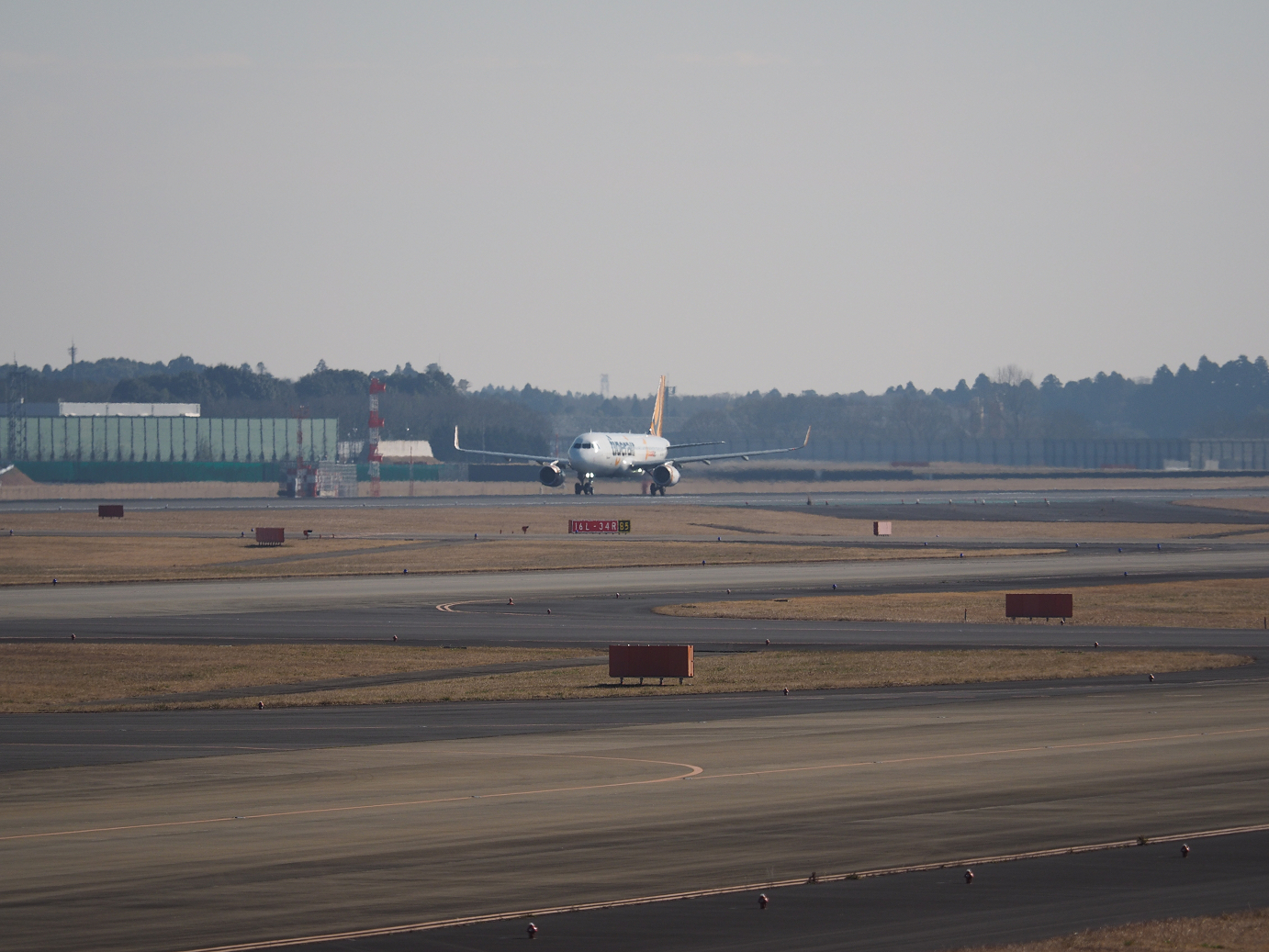 P1161250.jpg