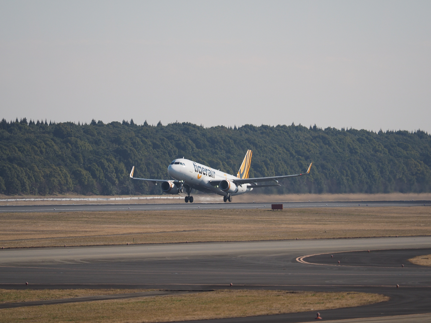 P1161255.jpg