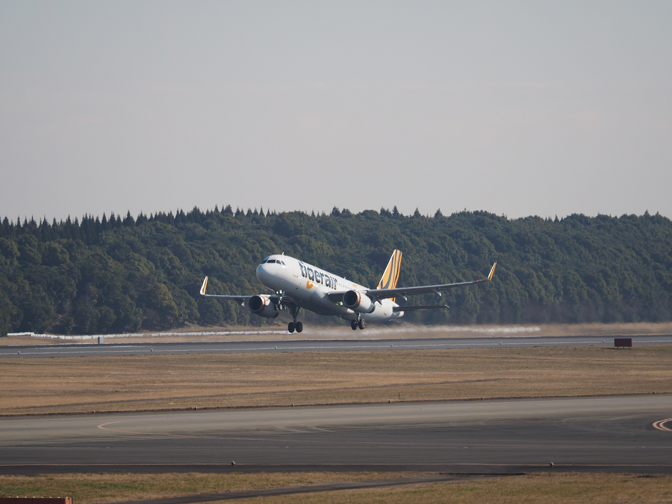 P1161257.jpg