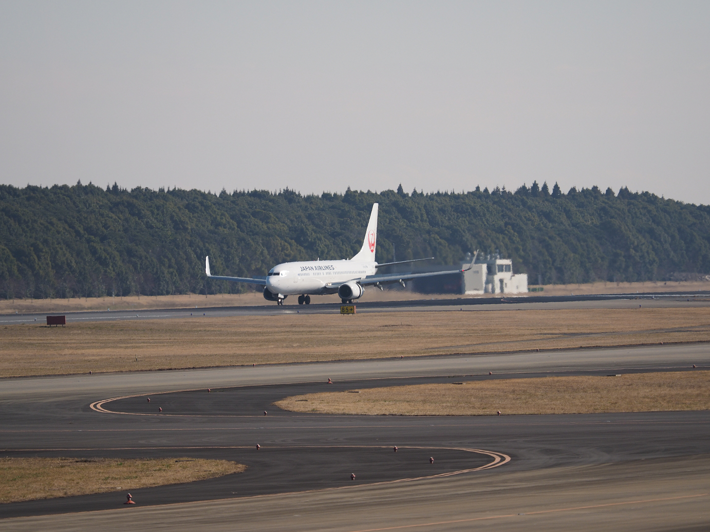 P1161351.jpg