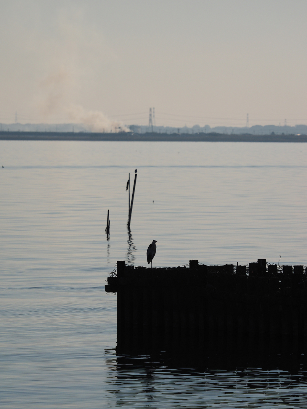 P1161524.jpg