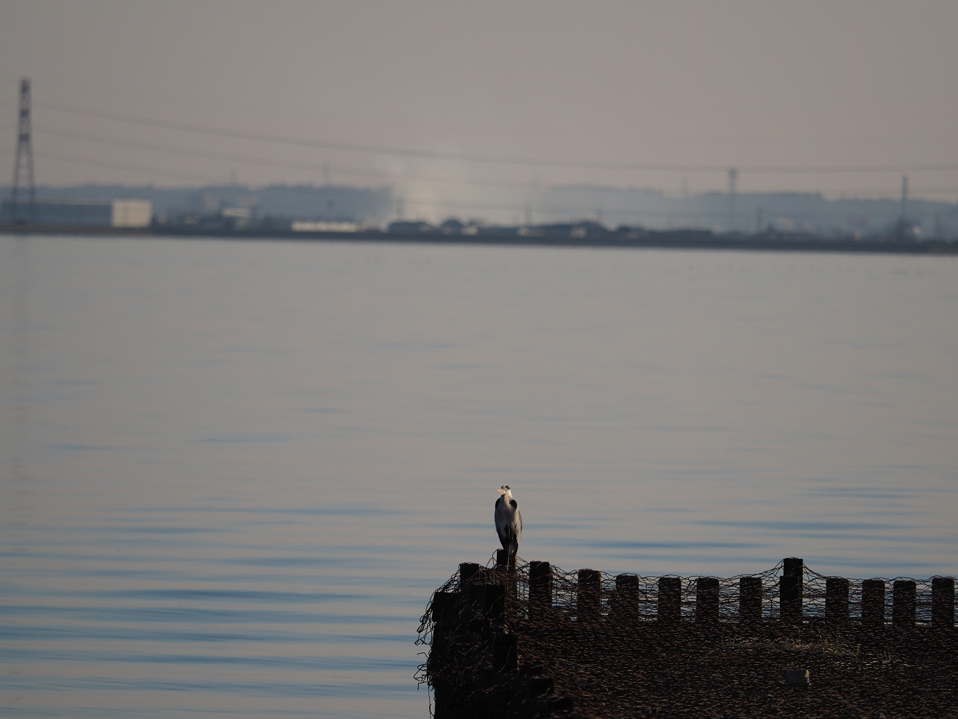 P1161530.jpg