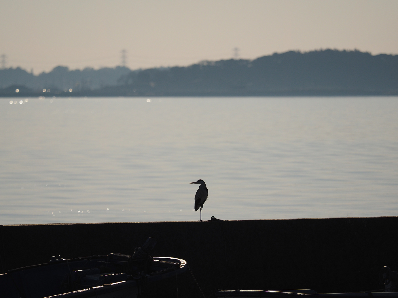 P1161531.jpg