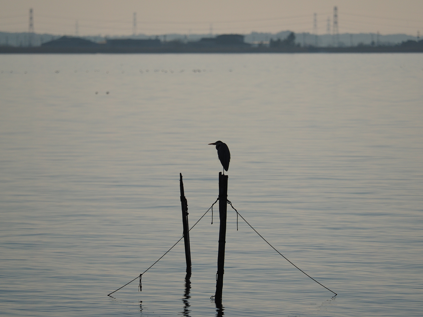 P1161539.jpg