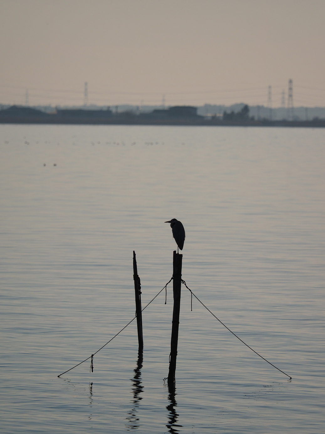 P1161540.jpg
