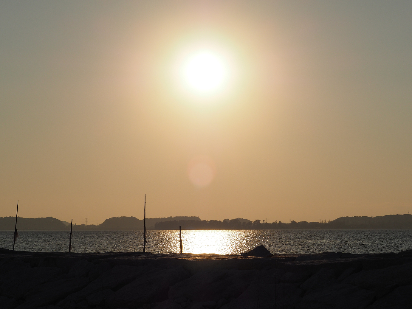 P1161599.jpg