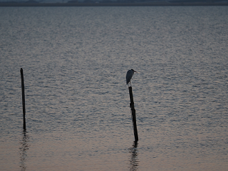 P1161658_thumb.png