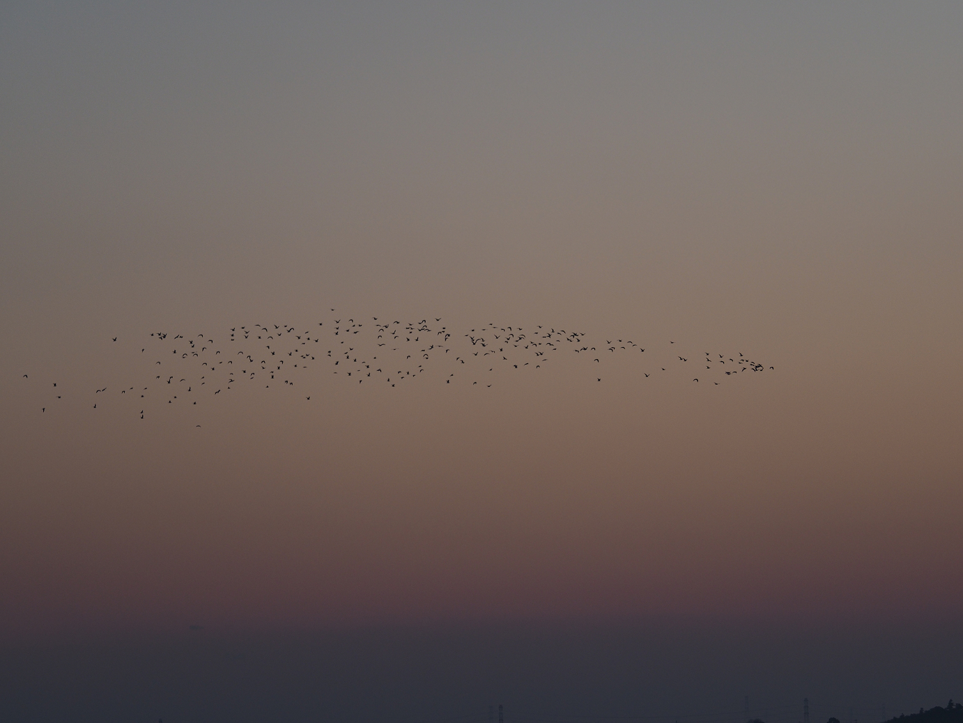 P1161663.jpg