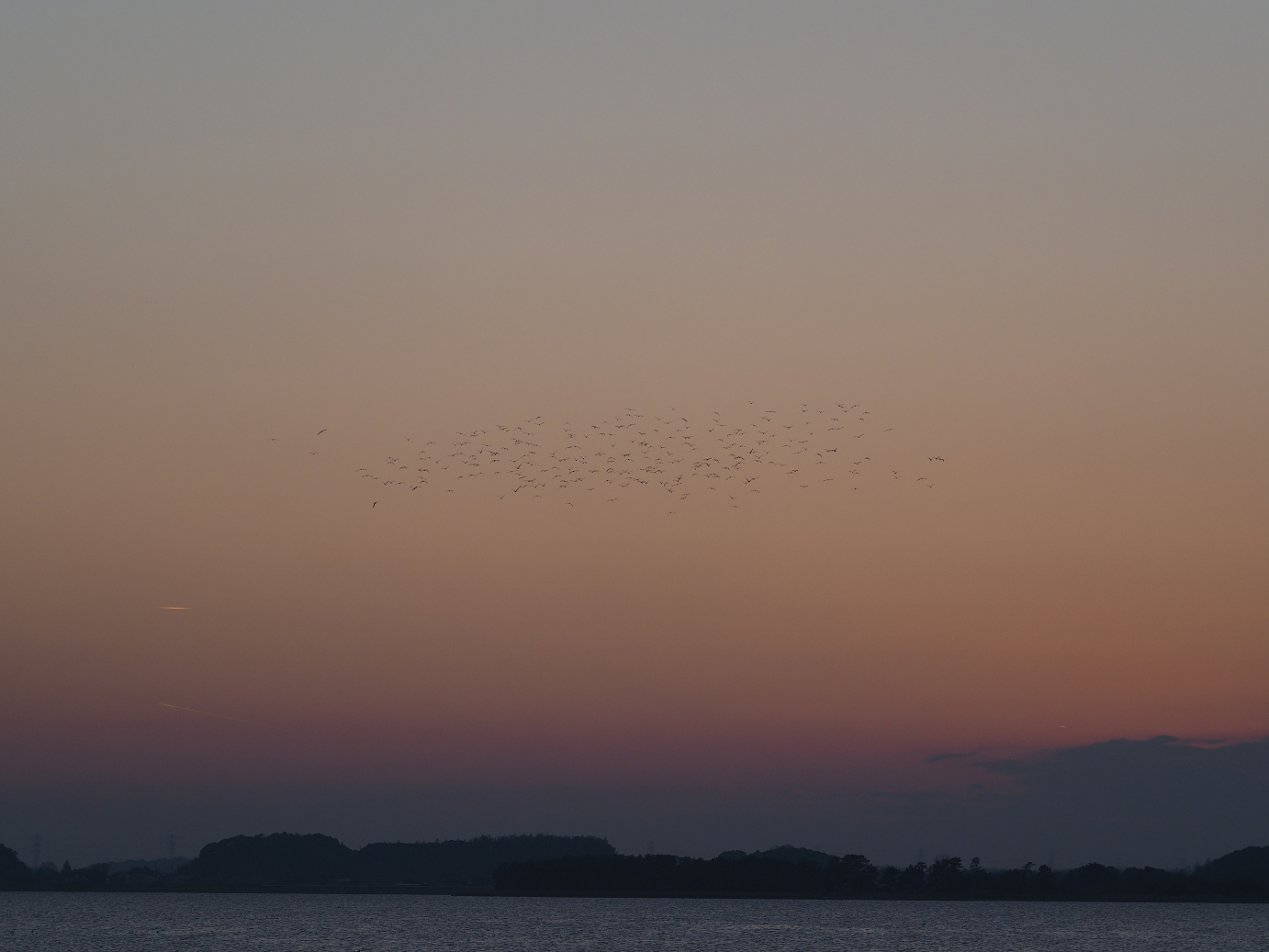 P1161666.jpg