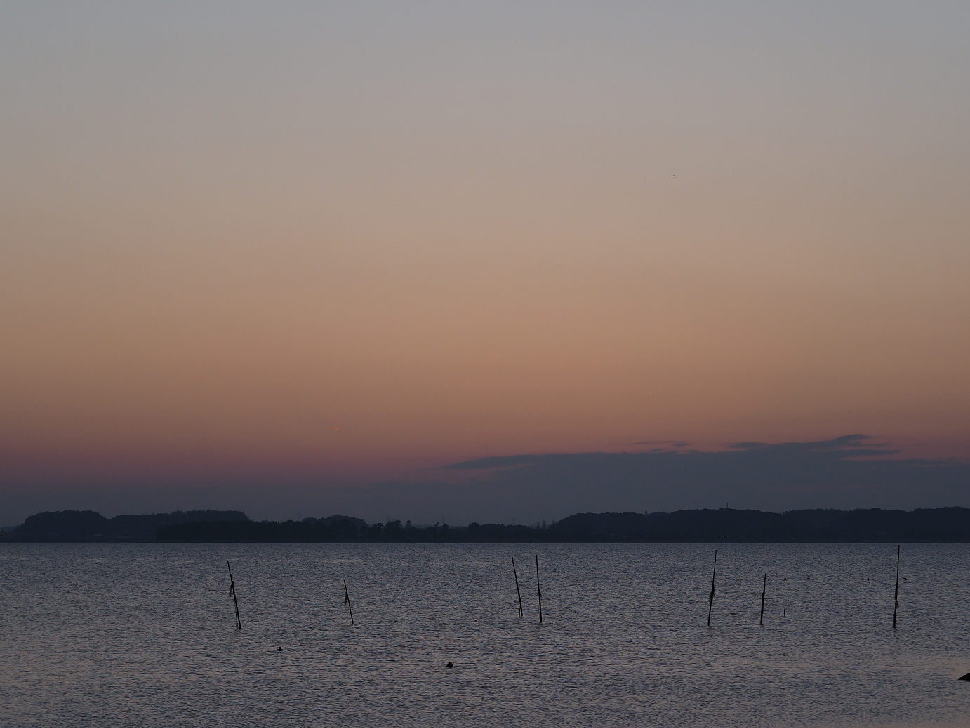P1161668.jpg