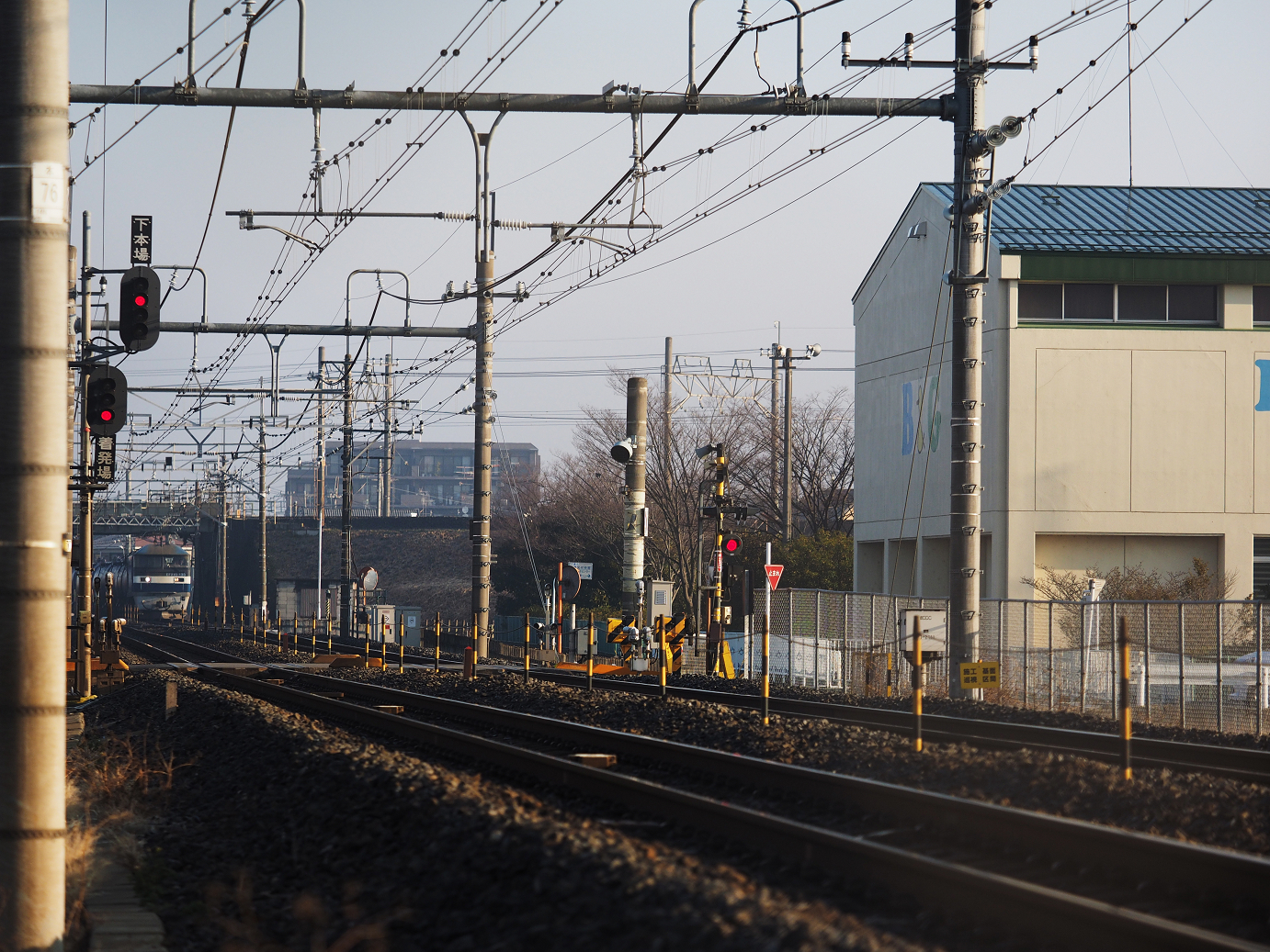P1310009.jpg