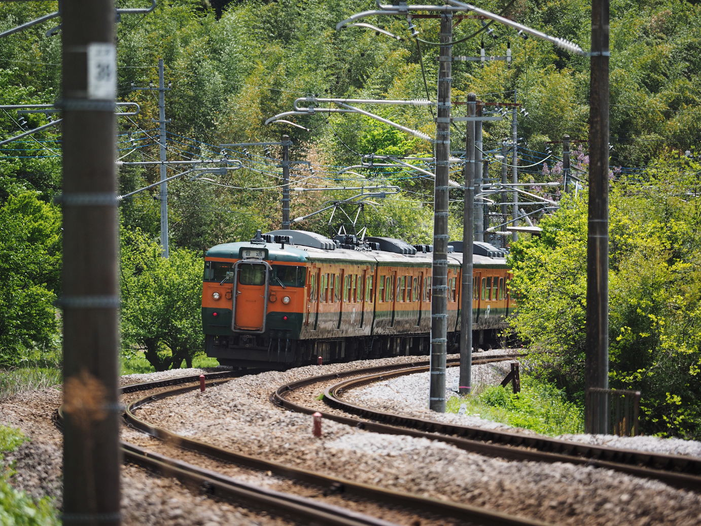 P5050031.jpg