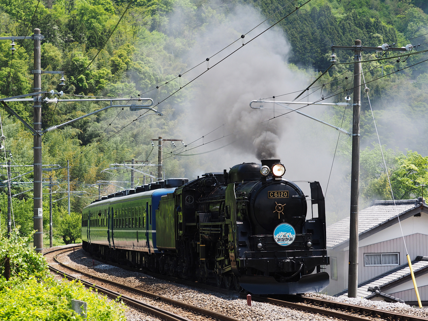 P5050072.jpg
