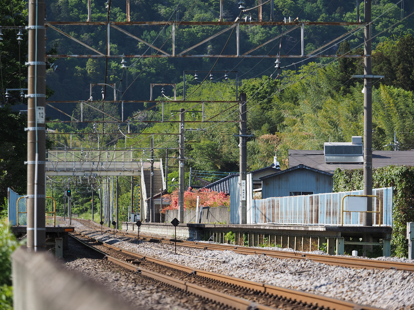 P5050137.jpg