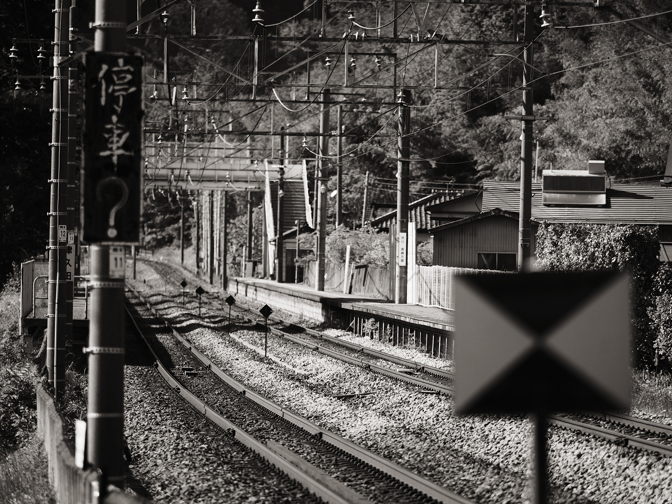 P5050143-.jpg