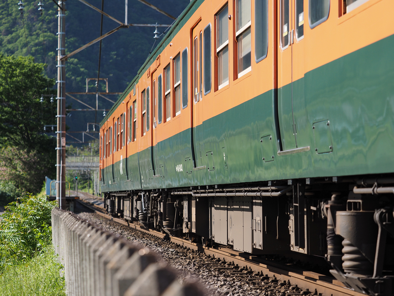 P5050149.jpg