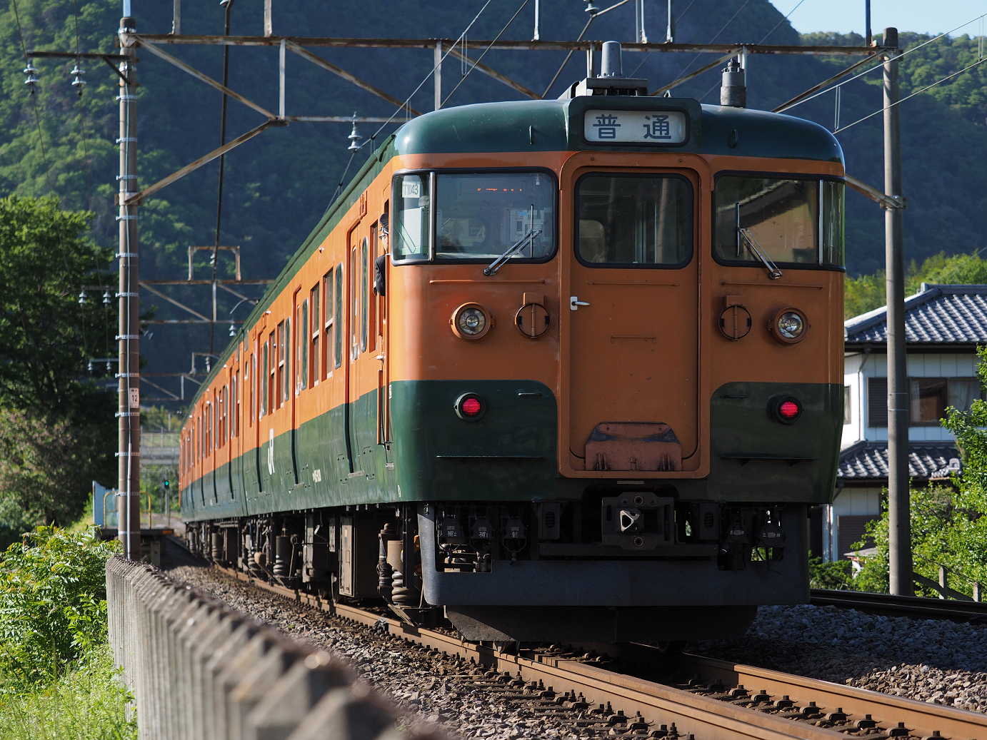 P5050154.jpg