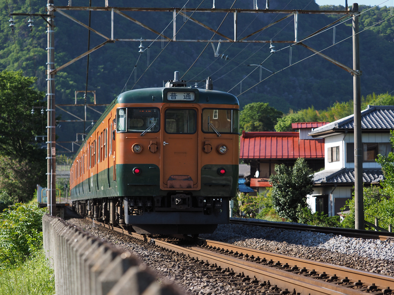 P5050162.jpg