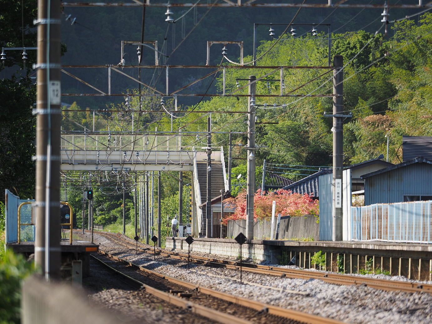 P5050175.jpg