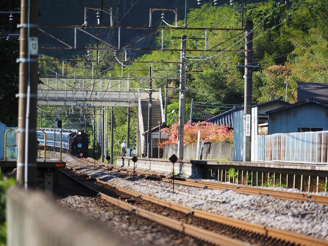 P5050182.jpg