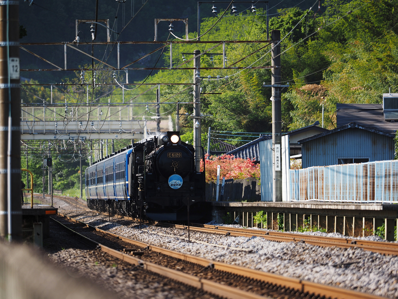 P5050190.jpg
