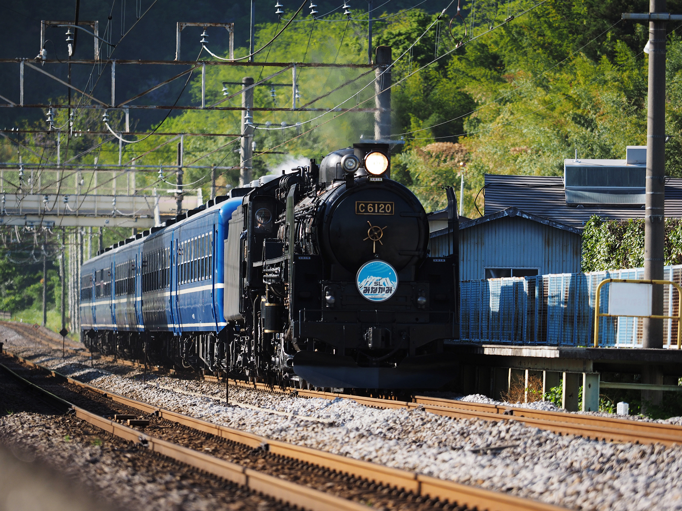 P5050205.jpg