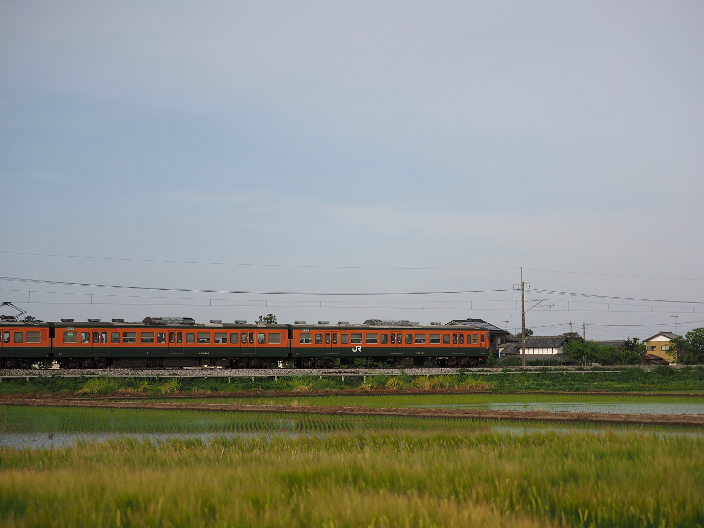 P5080282.jpg