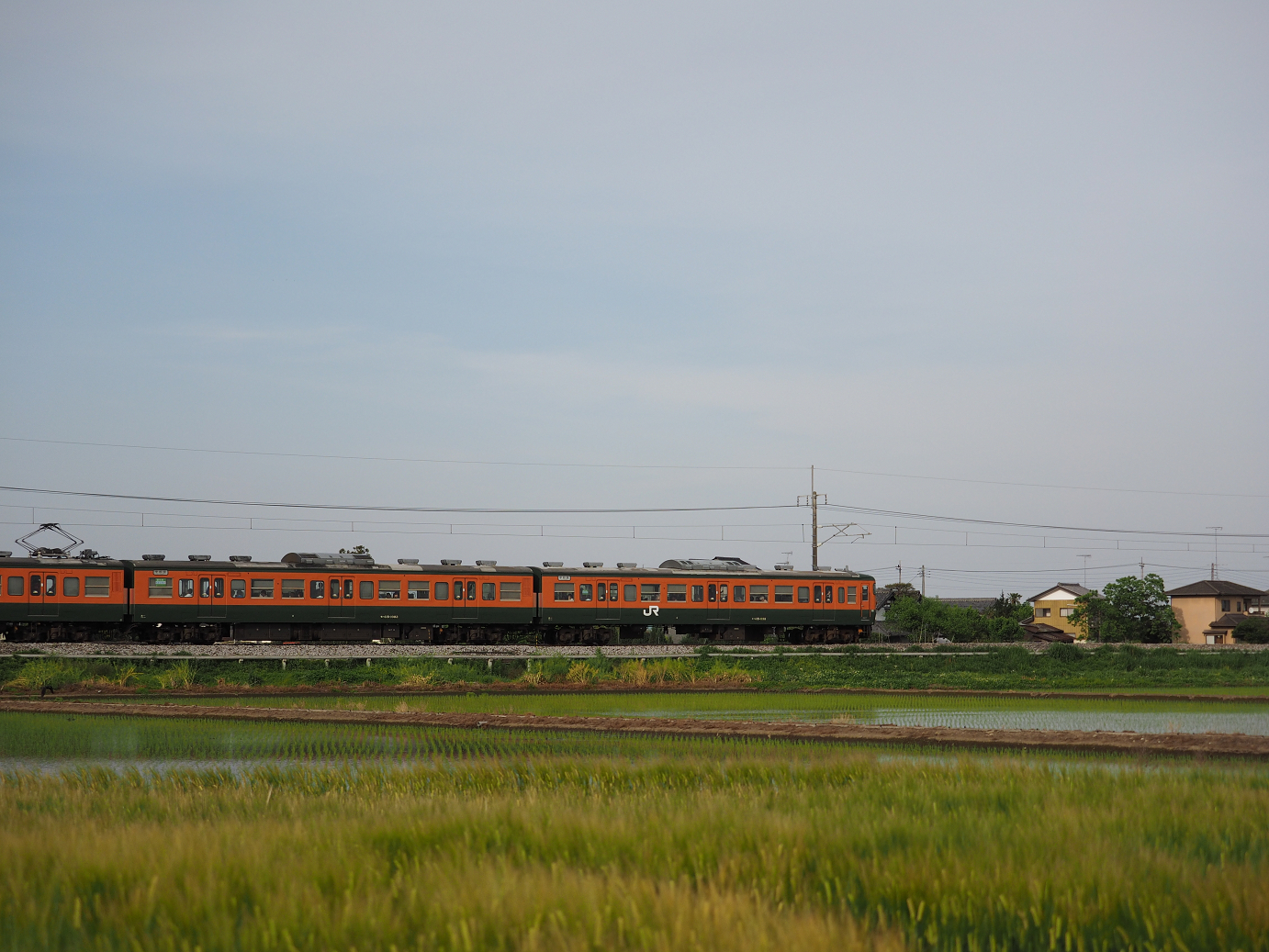 P5080285.jpg