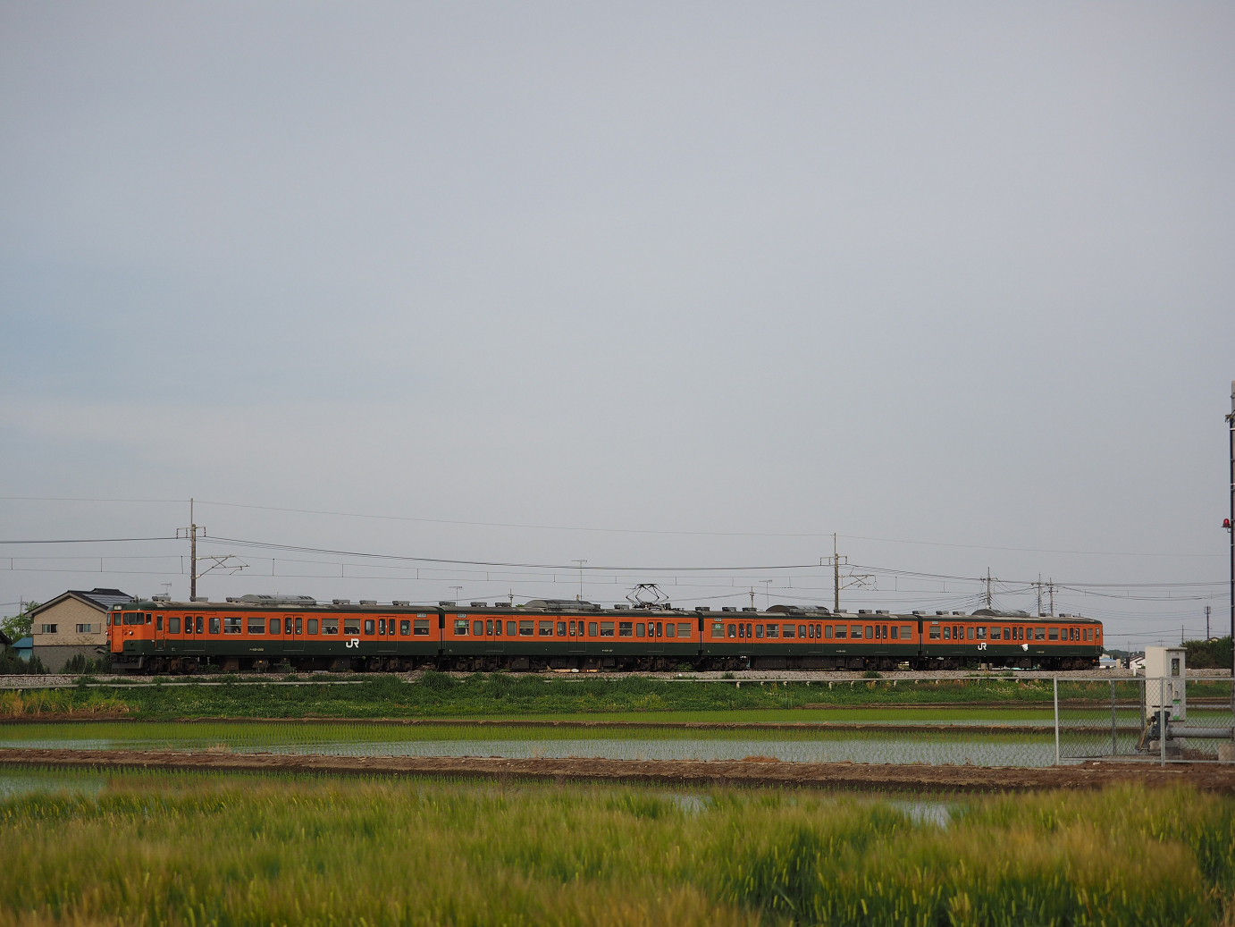 P5080286.jpg