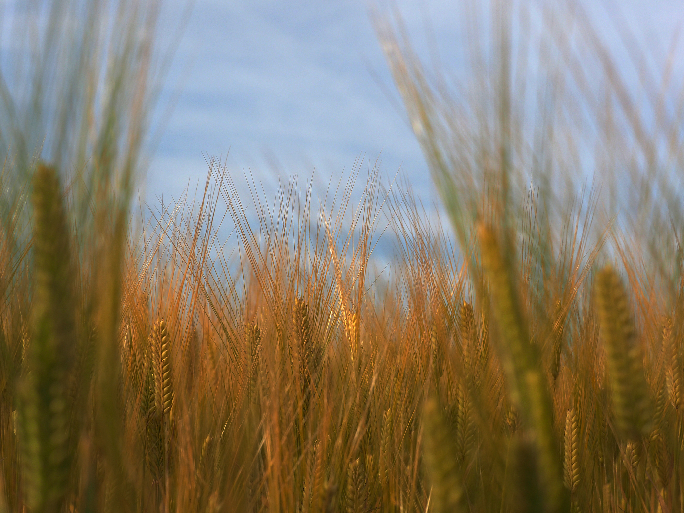 P5080297-.jpg