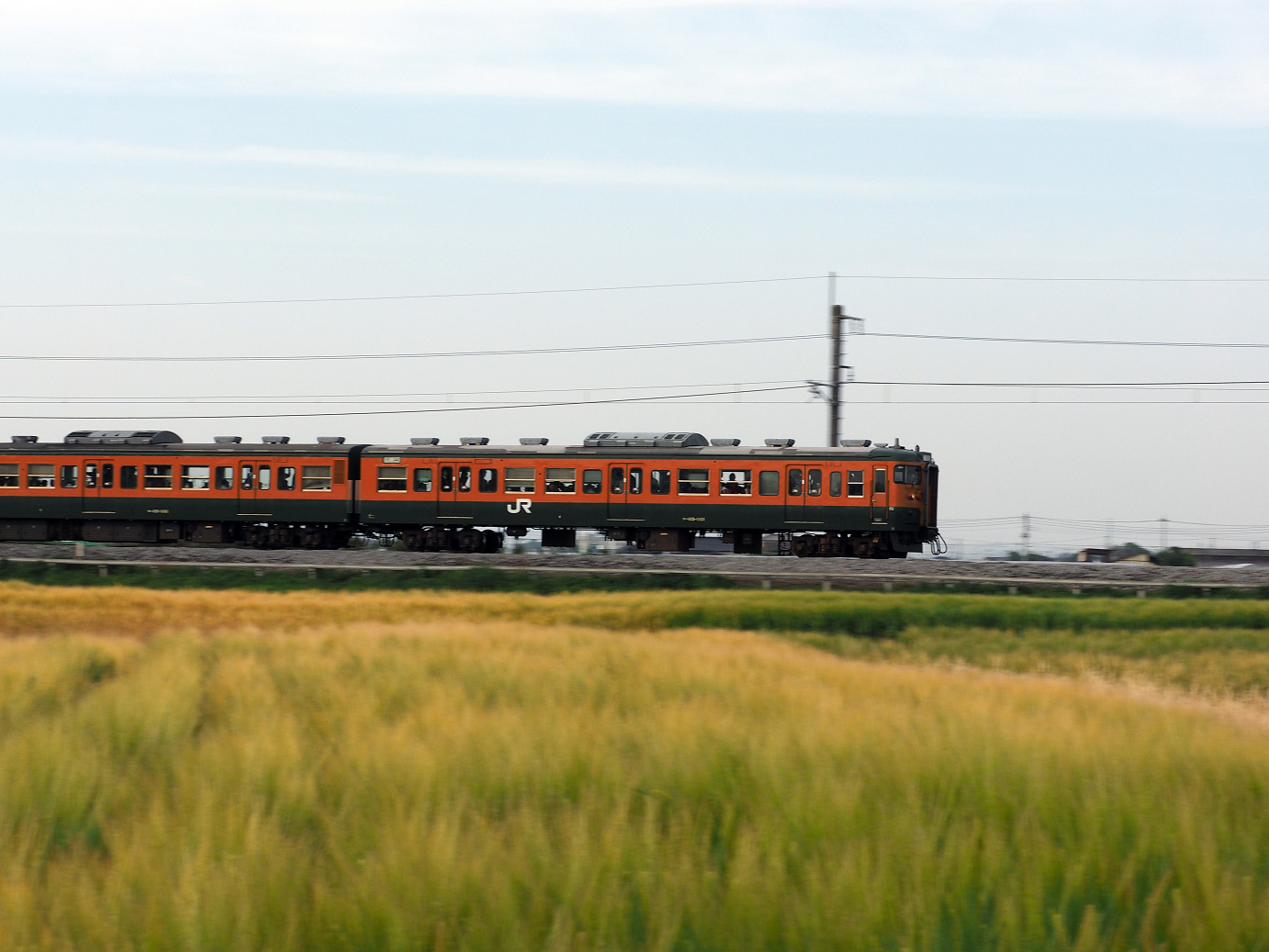 P5080375.jpg
