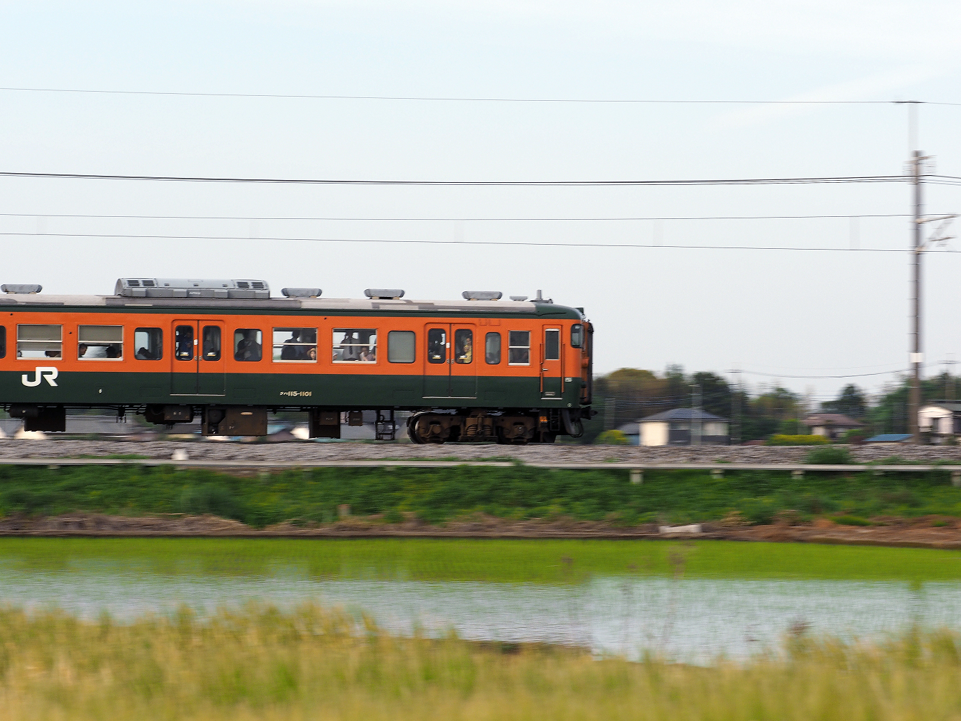 P5080380.jpg